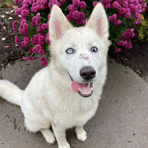 Meet your Posher, Aubrey